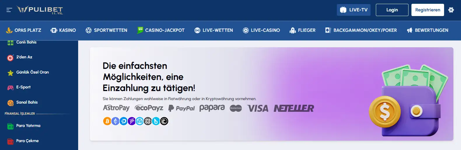 Zahlungsbereich von Pulibet mit Banküberweisung und elektronischen Kontoverfahren
